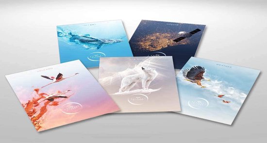 jachtvliezen, vier foto's, kunst afdrukken, foto set, decoratie